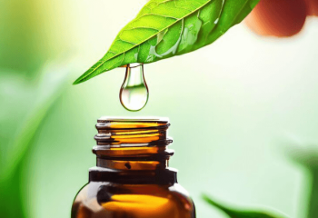 medicina homeopatica, medicina alternativa, medicina natural